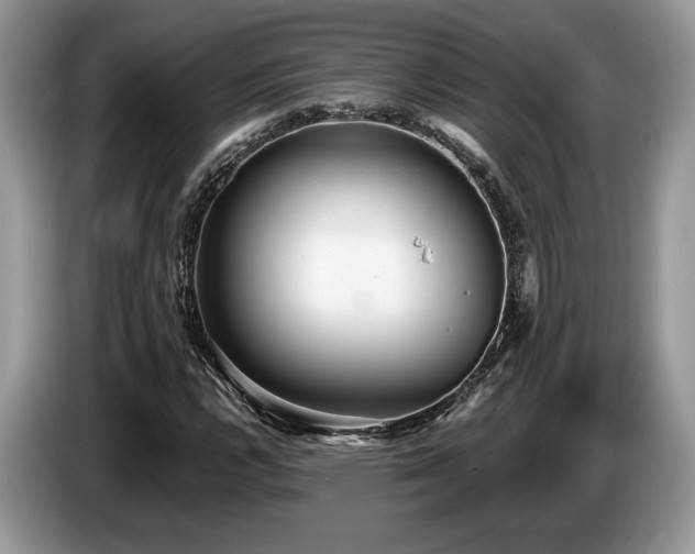 X0000087551112200704271203