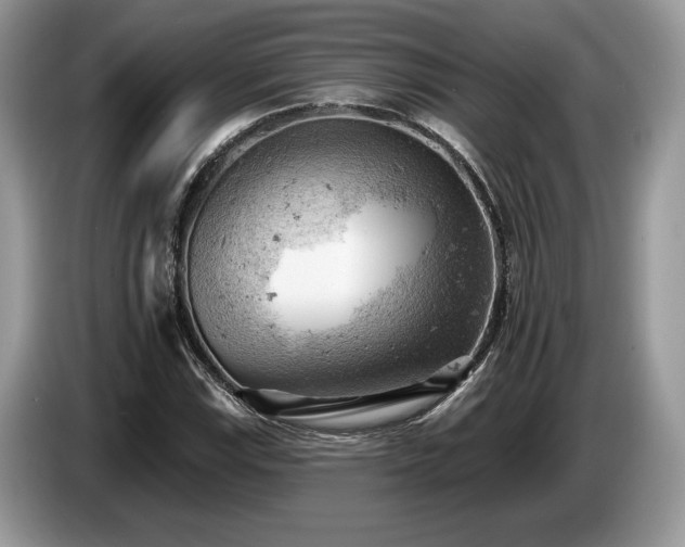 X0000087551115200704271203
