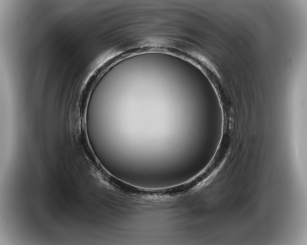 X0000087551117200704271203