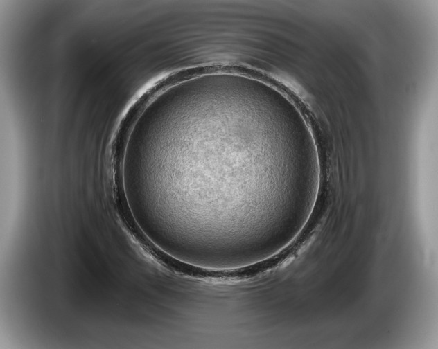 X0000087551118200704271203