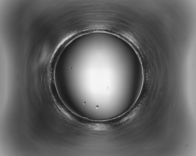 X0000087551119200704271203