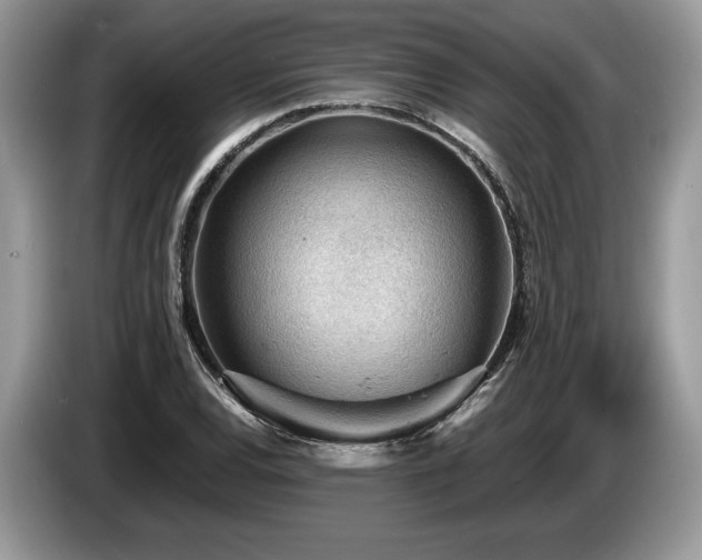 X0000087551120200704271203