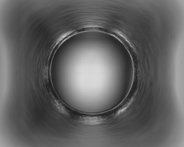 X0000087551121200704271203