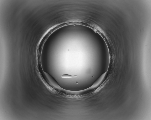 X0000087551124200704271203