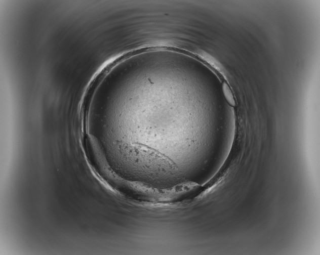 X0000087551127200704271203