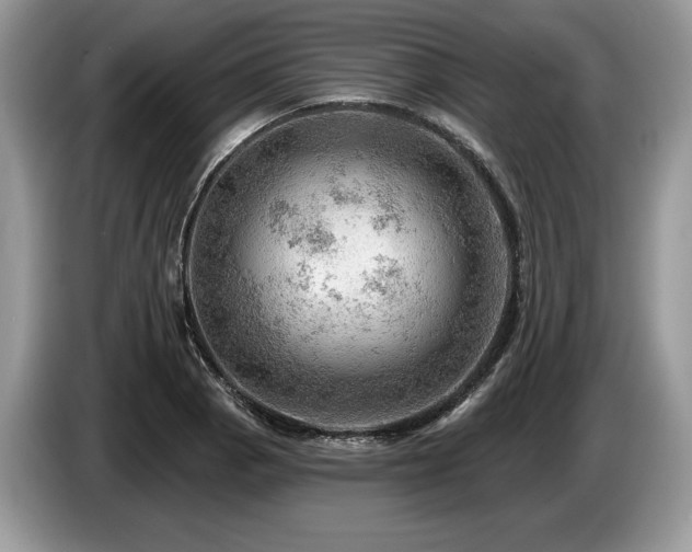 X0000087551129200704271203
