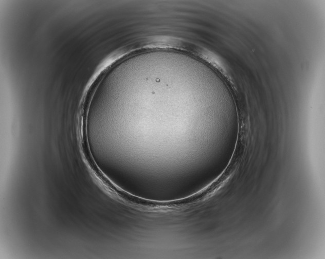 X0000087551130200704271203