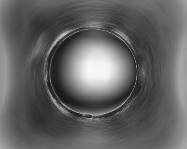 X0000087551131200704271203