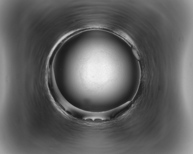X0000087551132200704271203
