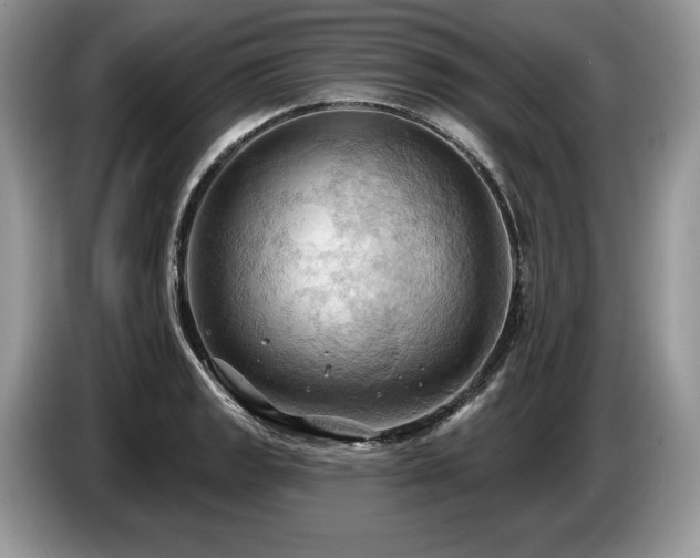 X0000087551133200704271203