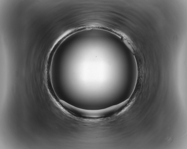 X0000087551134200704271203