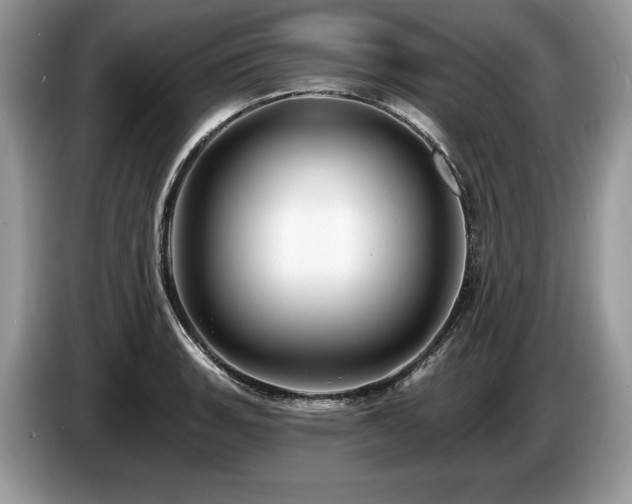 X0000087551135200704271204