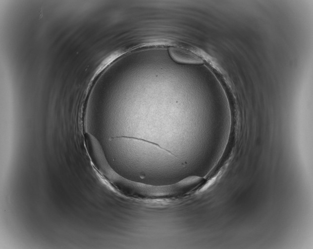 X0000087551137200704271204