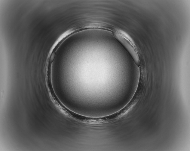 X0000087551138200704271204