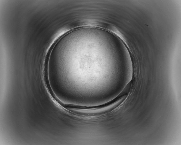 X0000087551139200704271204
