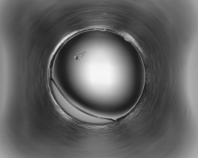 X0000087551140200704271204