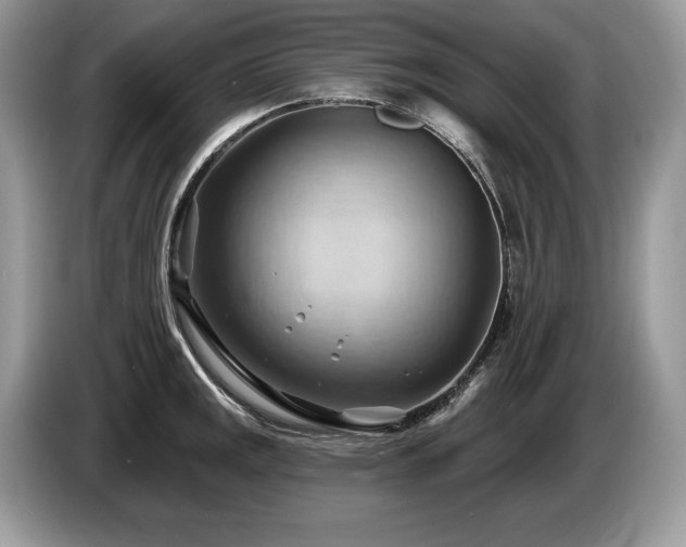 X0000087551141200704271204