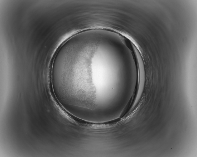 X0000087551142200704271204