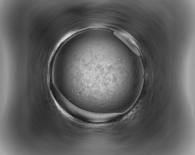 X0000087551143200704271204