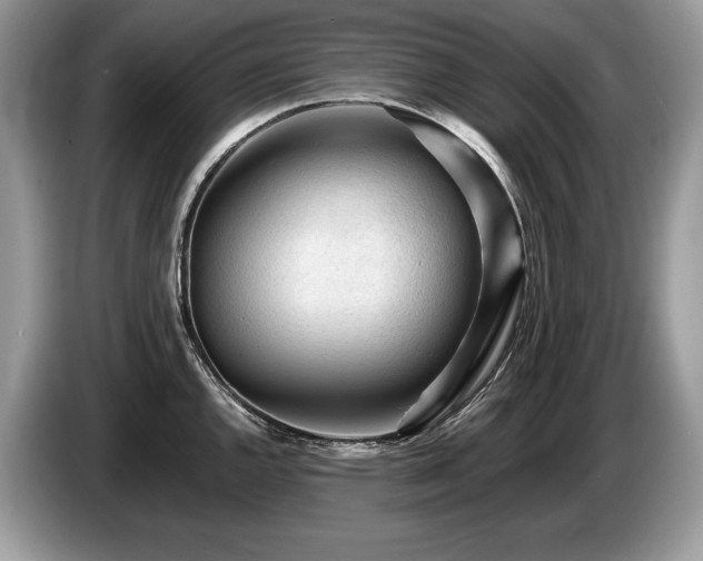 X0000087551144200704271204