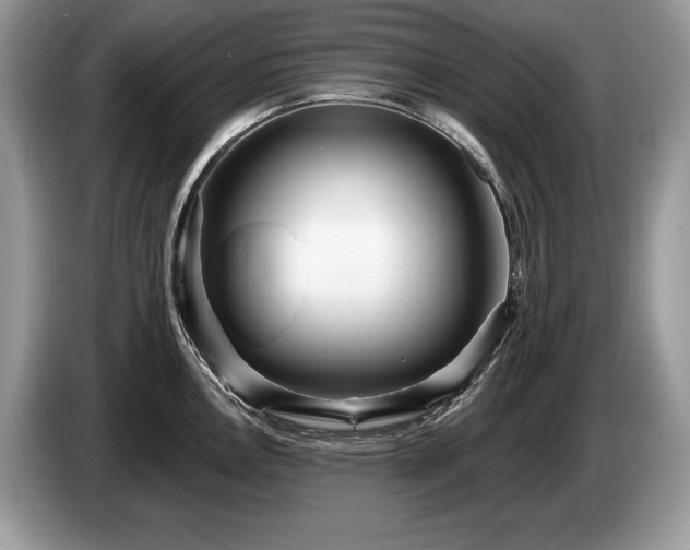 X0000087551146200704271204