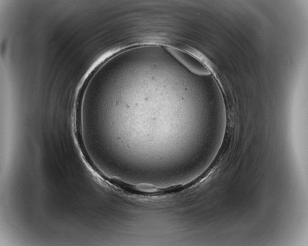 X0000087551147200704271204