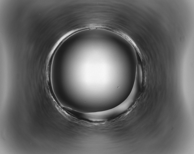 X0000087551148200704271204