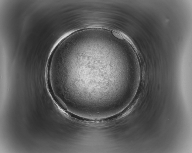 X0000087551149200704271204