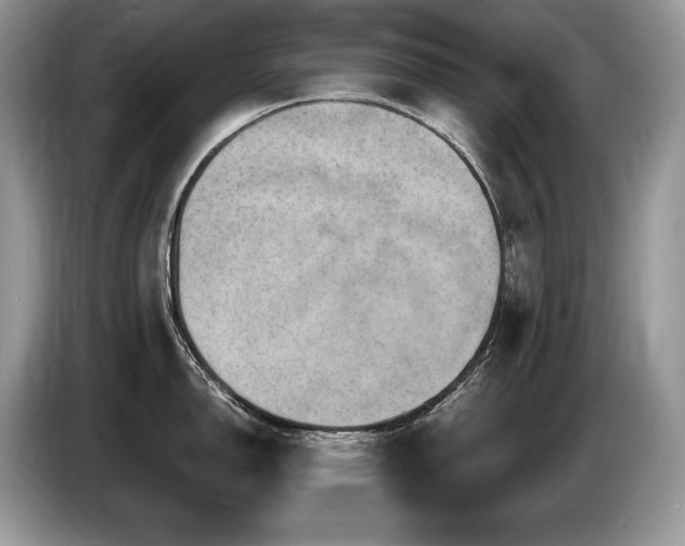 X0000087551150200704271204