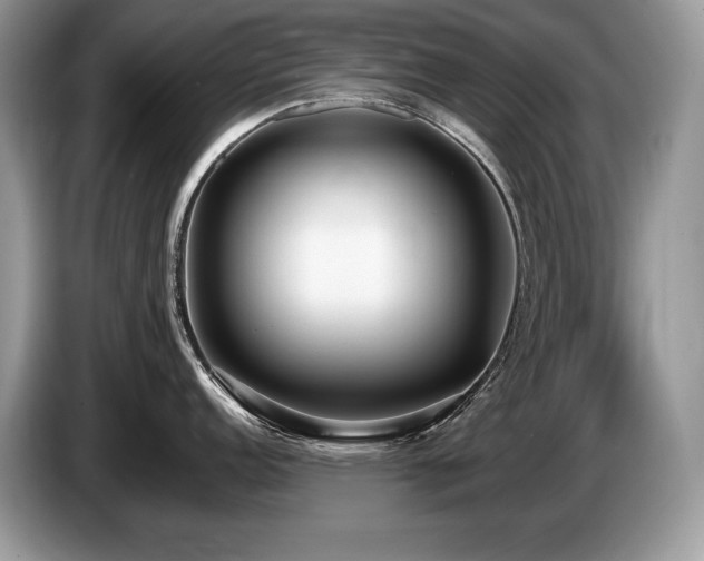 X0000087551152200704271204