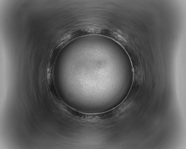 X0000087551154200704271203