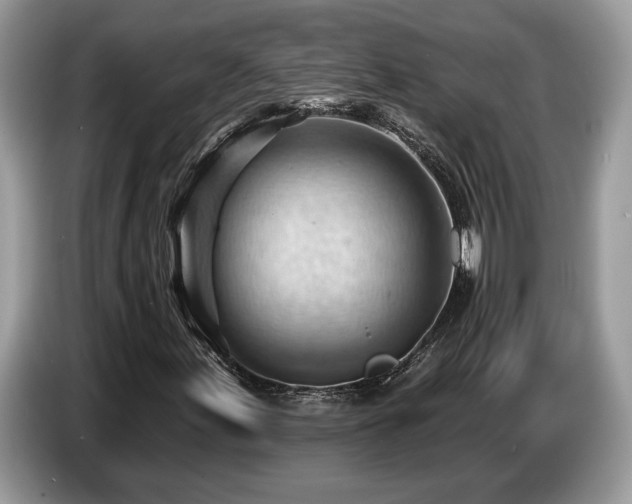 X0000087551155200704271203