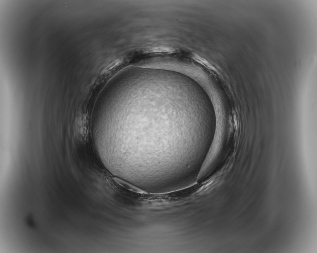 X0000087551156200704271203