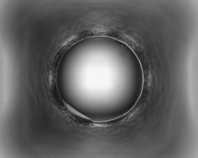 X0000087551157200704271203