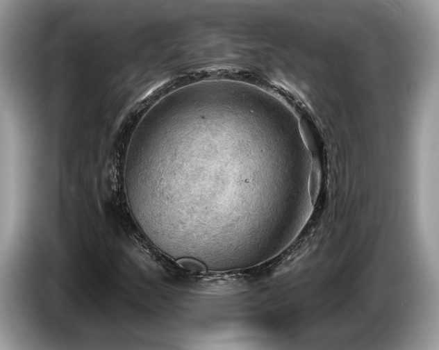 X0000087551159200704271203