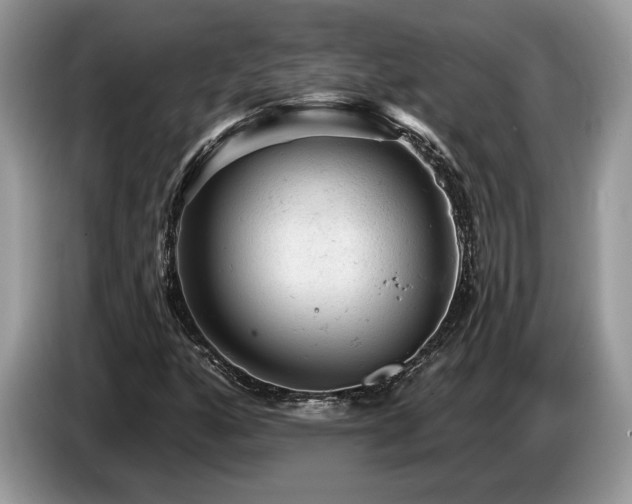 X0000087551160200704271203