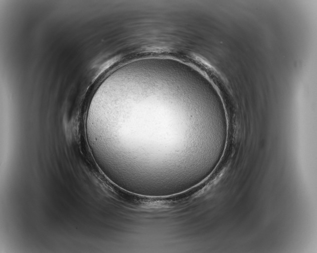 X0000087551162200704271203