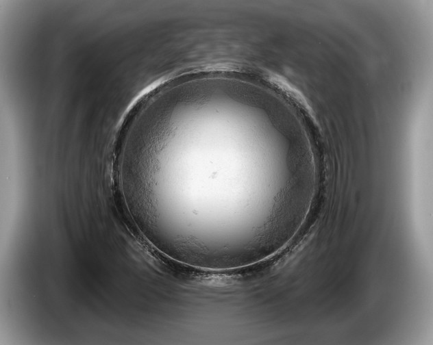 X0000087551166200704271203
