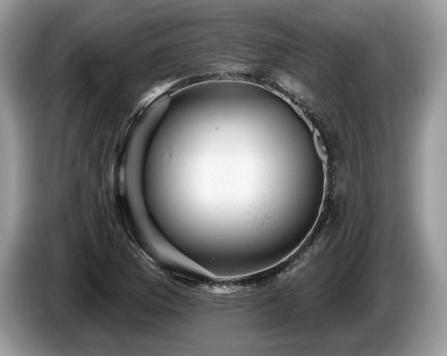 X0000087551169200704271203