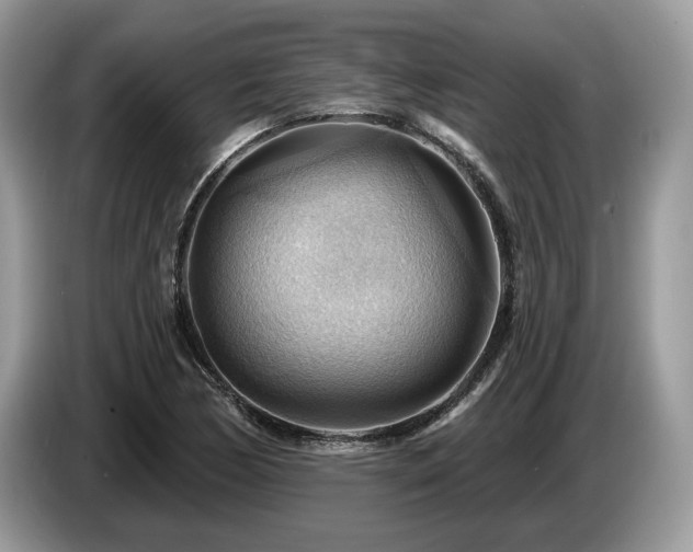 X0000087551170200704271203