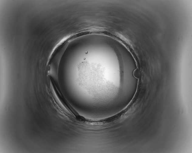 X0000087551171200704271203