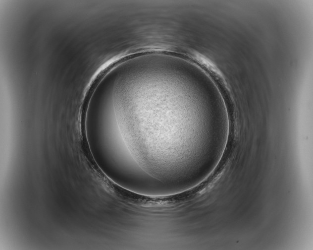 X0000087551174200704271203