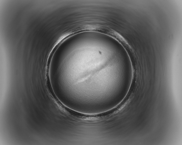 X0000087551178200704271203