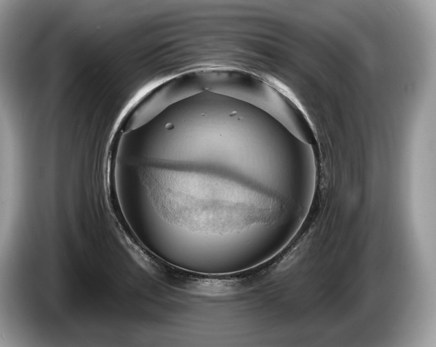 X0000087551179200704271203