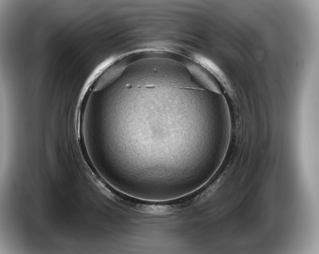 X0000087551180200704271203