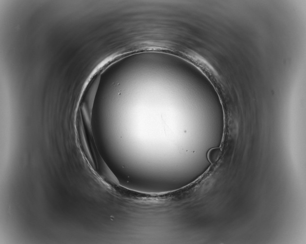 X0000087551182200704271203