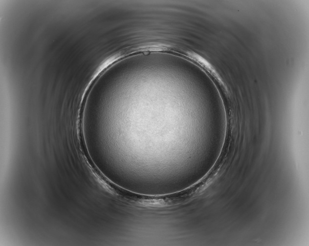X0000087551186200704271203