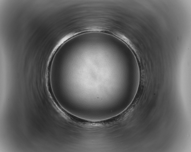 X0000087551187200704271203