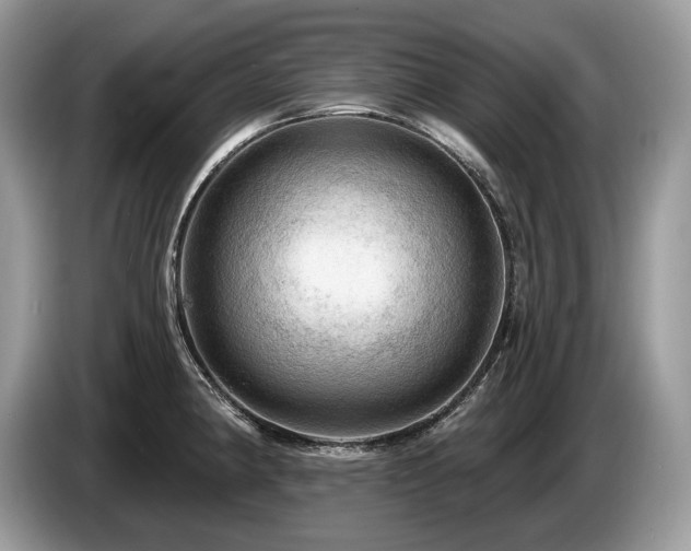 X0000087551190200704271203