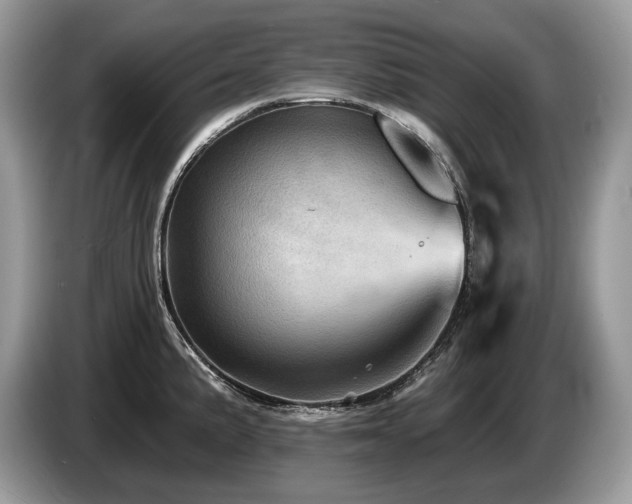X0000087551191200704271203